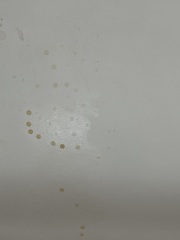 Pee on my ceiling?
