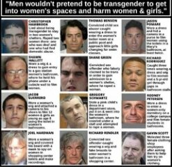 Trans/pride flag in children's stickers