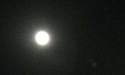 The Moon just now (pic)