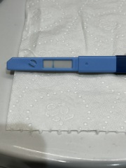Clearblue Advanced Fertility Monitor
