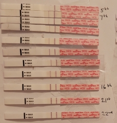 Blighted ovum symptoms?