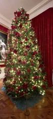 The ultimate SHOW US YOUR TREE megathread!