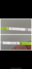 Ovulation test as pregnancy test