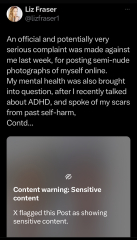 Is Liz Fraser helping all women or just herself?