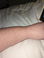 Come and tell me your dull and unexciting news 27: Calmly through the day