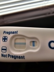 Faint positive Clear Blue