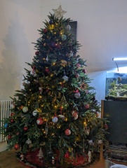 The ultimate SHOW US YOUR TREE megathread!
