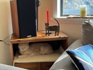 Come and tell me your dull and unexciting news 27: Calmly through the day