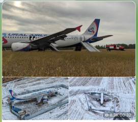 Ukraine Invasion: Part 45