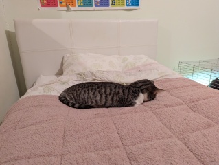 Let's see your best "Loaf of Doom" pics!