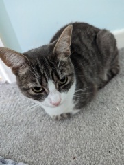 Let's see your best "Loaf of Doom" pics!