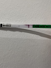 A line eye enthusiast #2