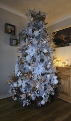 The ultimate SHOW US YOUR TREE megathread!