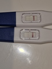 Are these progressing ok?