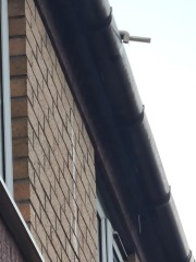 Mould should housing pay for beds