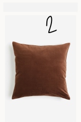 Please help me decide what cushions!