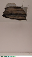 Come and tell me your dull and unexciting news 27: Calmly through the day