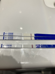 POAS come on you rainbows