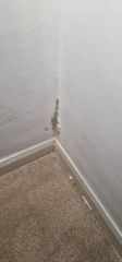 Damp patch - any ideas?