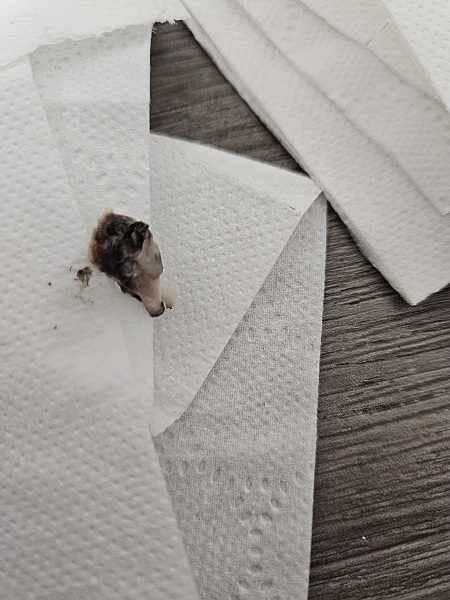 HELP !! Does anyone know what this is ?