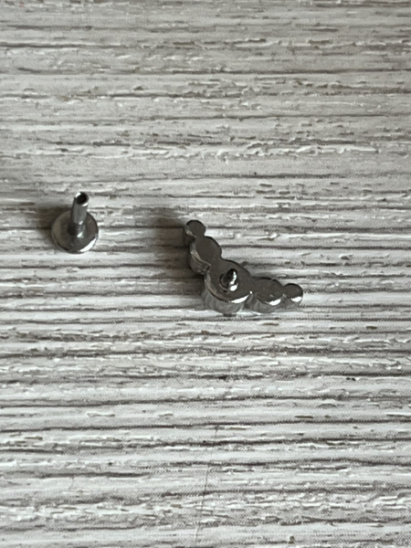 How to put this earring in (conch)