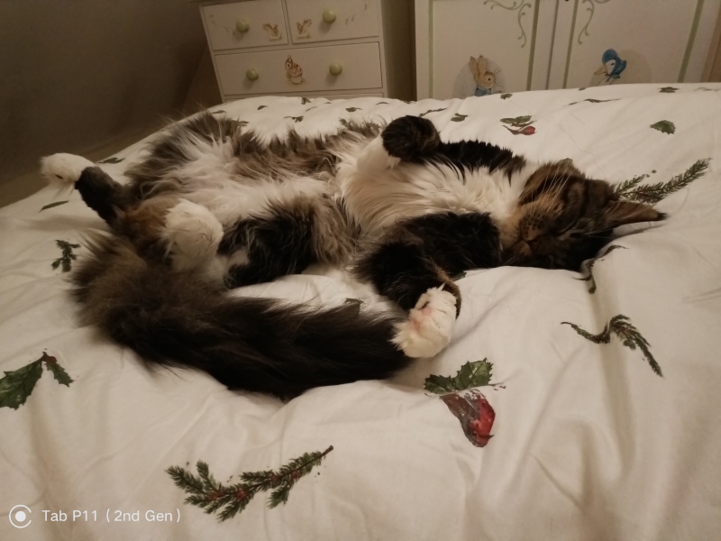 Come and tell me your dull and unexciting news 27: Calmly through the day