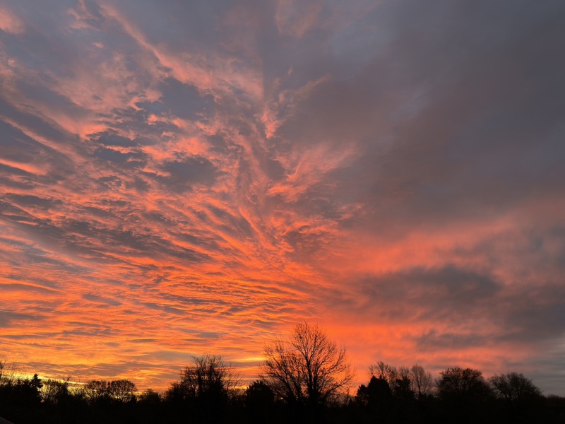 A beautiful sunrise picture.