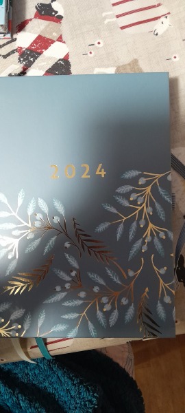 Thread 16 - the one with two turtle fingerless gloves