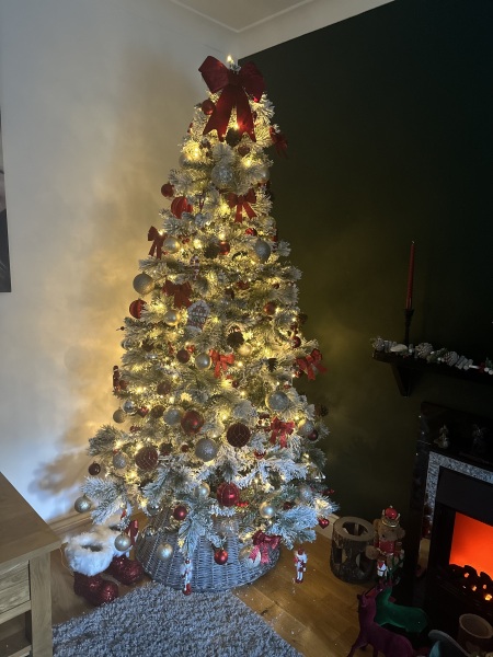 Can I see your Christmas tree?