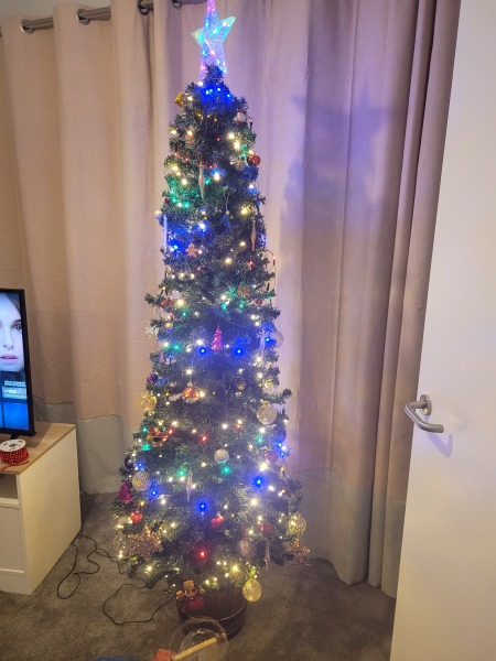 Can I see your Christmas tree?