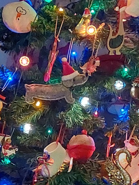 Coloured Christmas tree lights