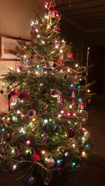 The ultimate SHOW US YOUR TREE megathread!