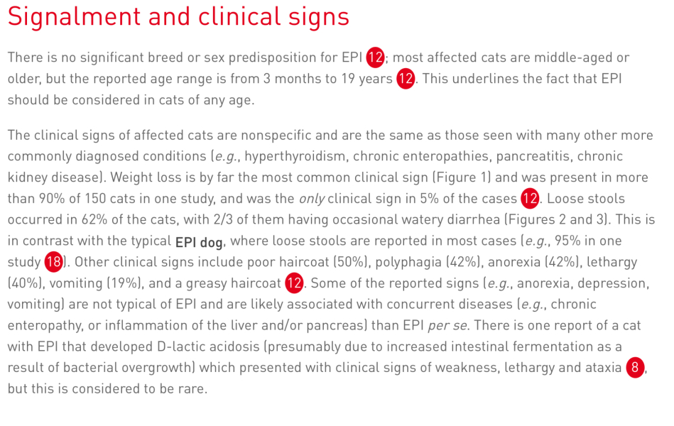 Advice needed for situation with poorly cat