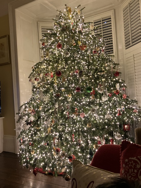 The ultimate SHOW US YOUR TREE megathread!