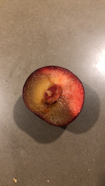 Is this plum off?