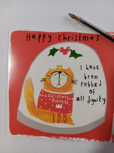 Christmas with the Excellent Cats
