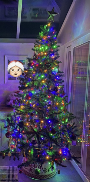 Can I see your Christmas tree?