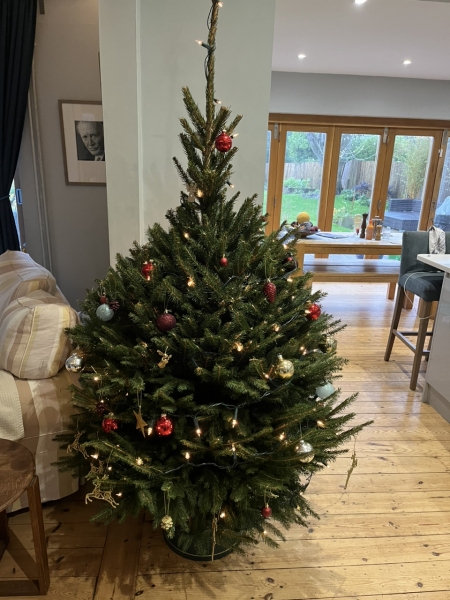 Can I see your Christmas tree?
