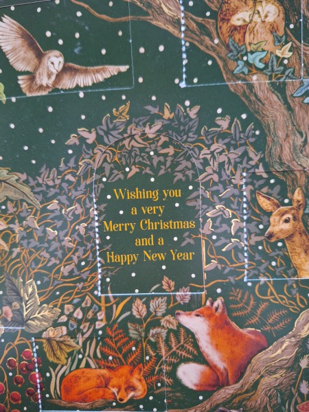 Picture advent calendars that add to the scene rather than have random pictures behind the doors