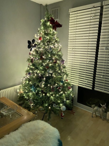 The ultimate SHOW US YOUR TREE megathread!