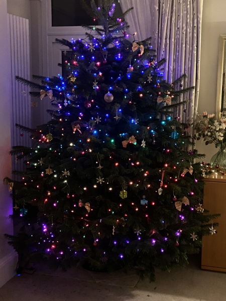 Coloured Christmas tree lights
