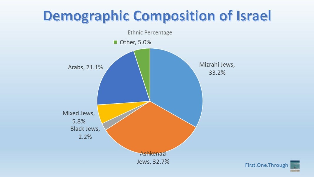 What is going on on the left? Gaza/Israel conflict