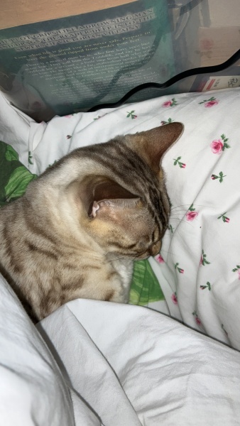 December 2023 - So we took you to stately homes