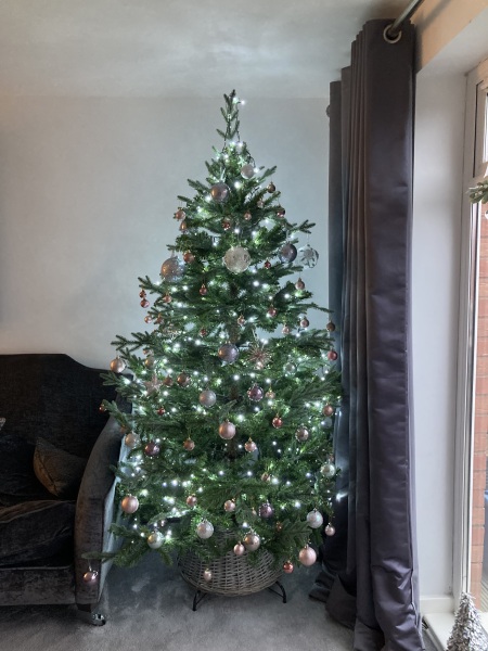 Can I see your Christmas tree?