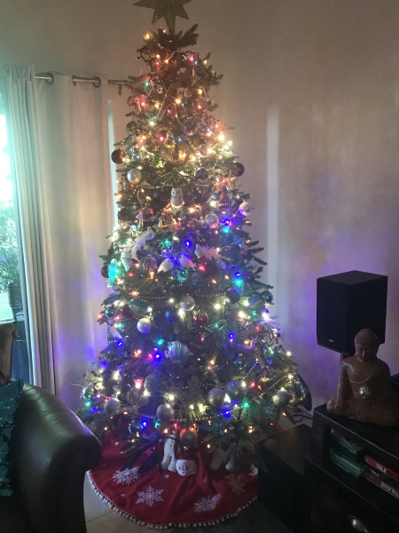 Have you put your tree up yet?