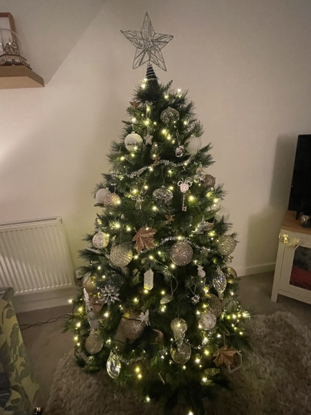 Can I see your Christmas tree?