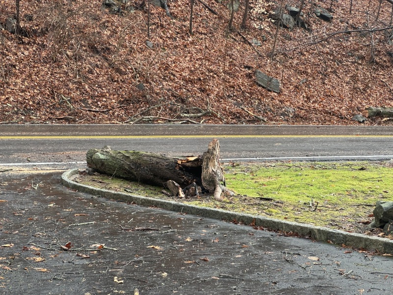 Come and tell me your dull and unexciting news 27: Calmly through the day