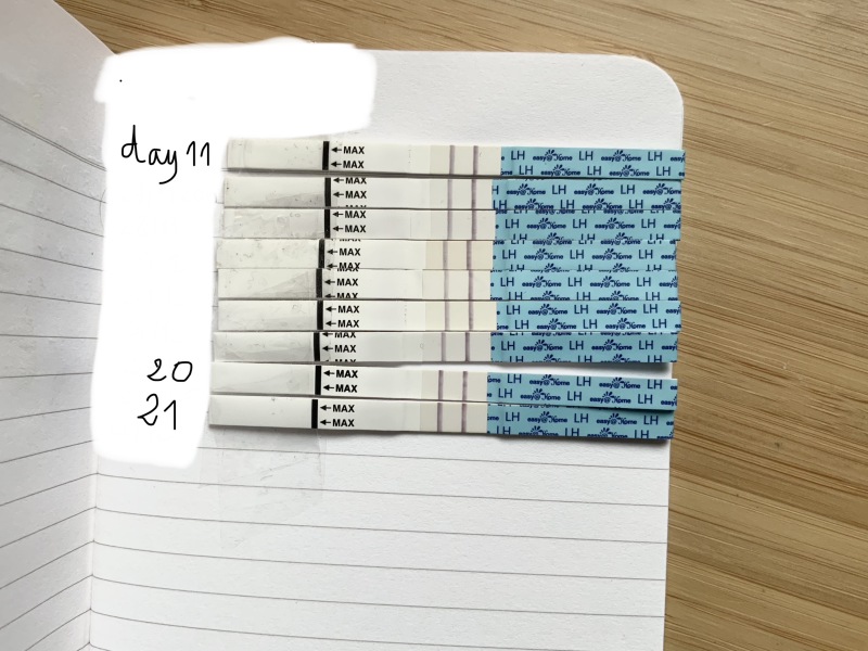 Your opinion on my ovulation tests, am I wrong since 8 months