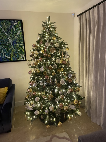 Can I see your Christmas tree?