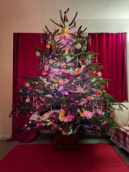 Can I see your Christmas tree?